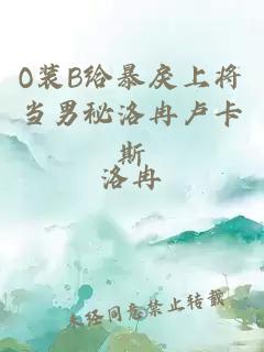 o装b给暴戾上将当男秘洛冉卢卡斯