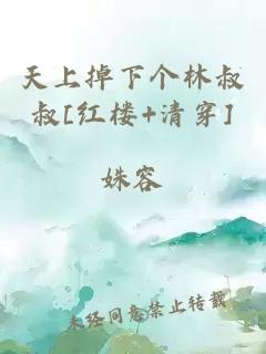 天上掉下个林叔叔[红楼 清穿]